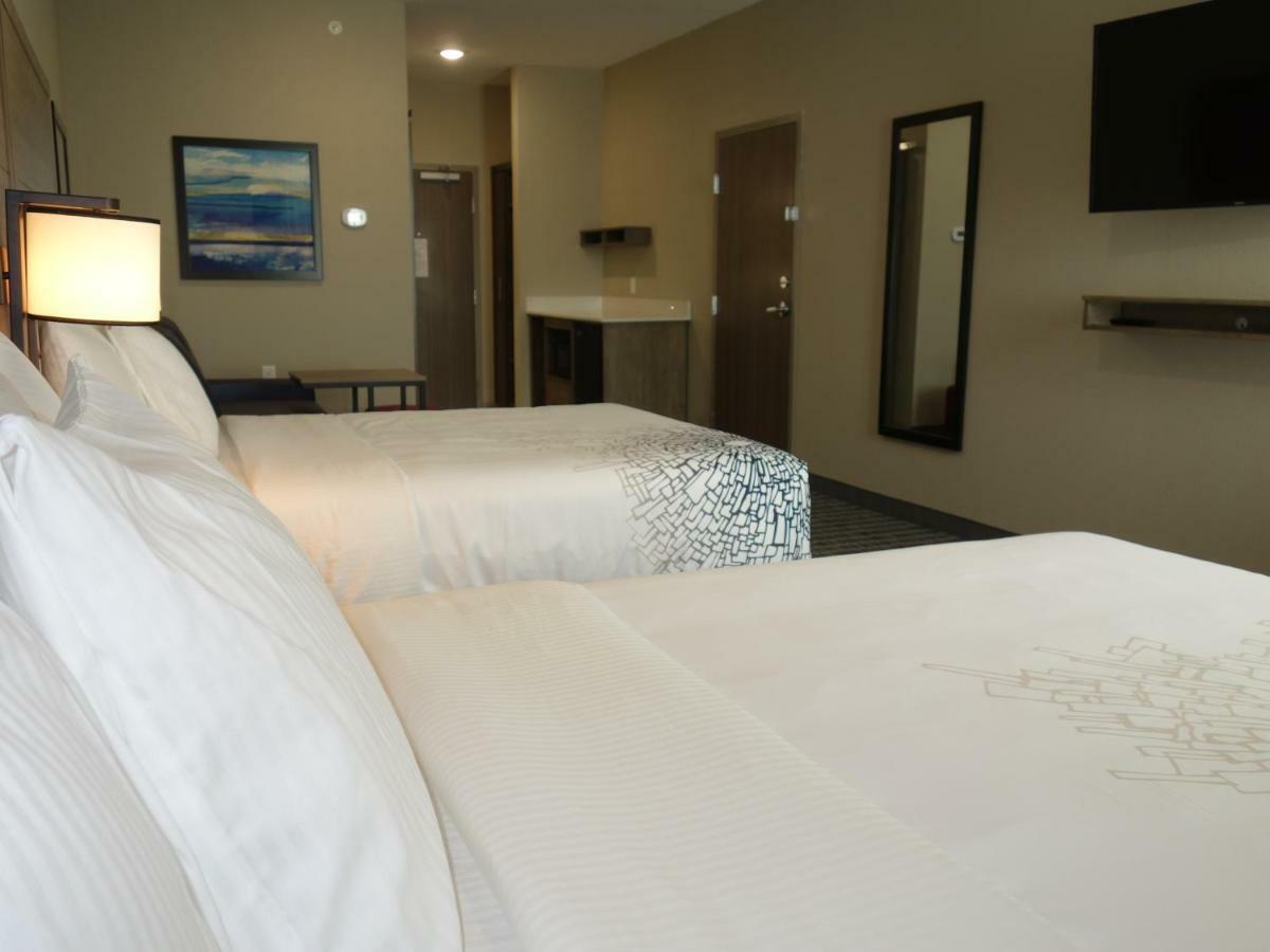 La Quinta By Wyndham San Antonio Alamo City Buitenkant foto